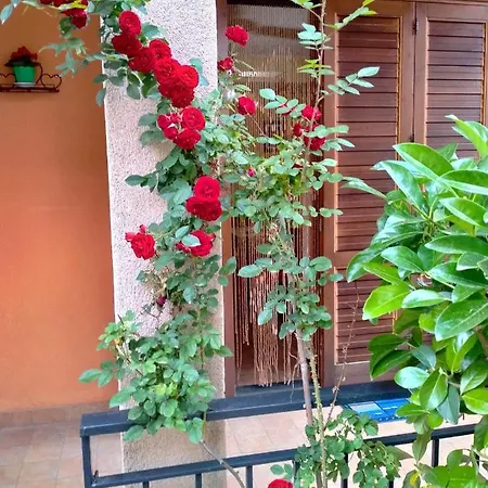 Vacanze Da Cinzia Feriehus Stazzo